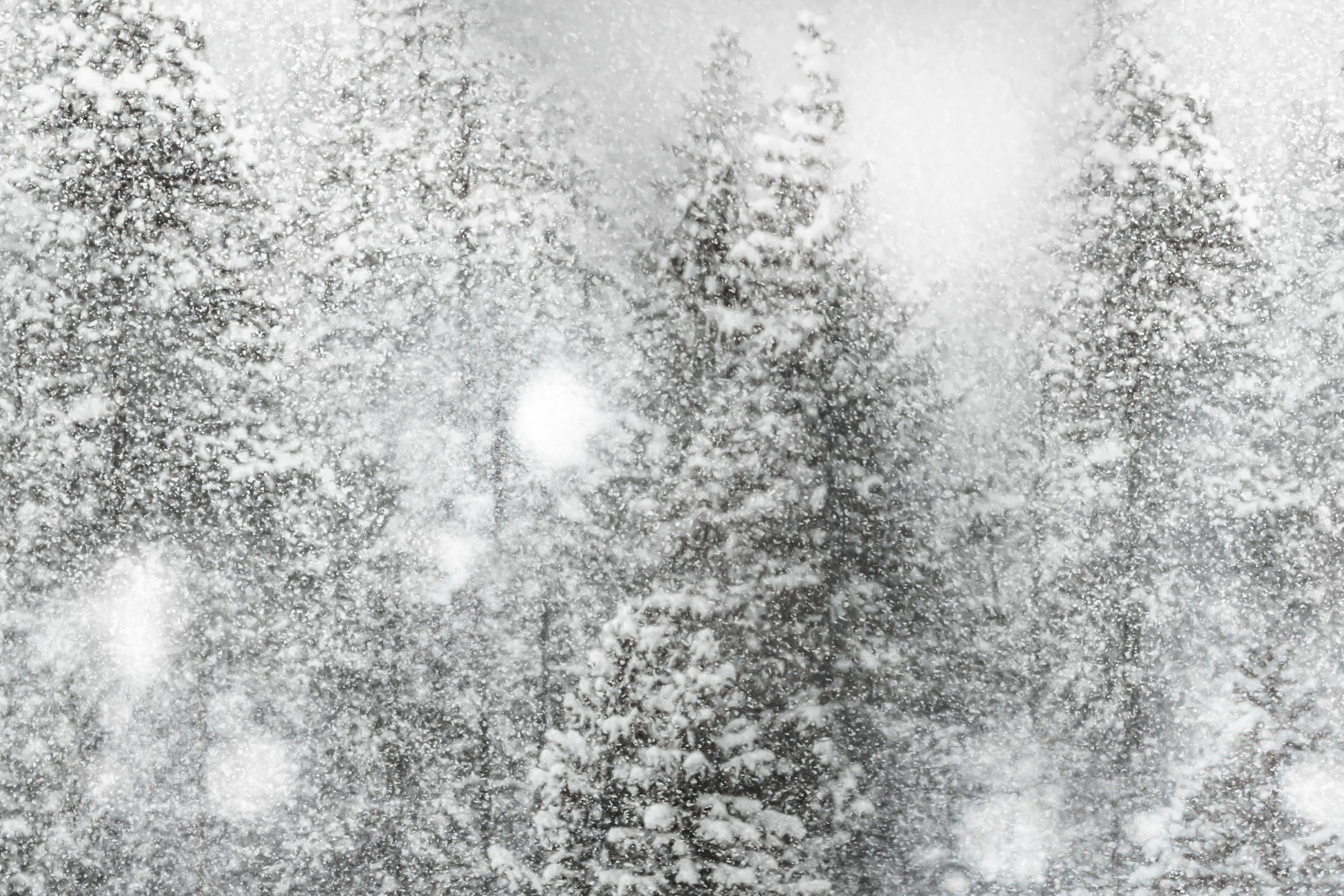 Soft Silence - Snowflake | Flavor Paper