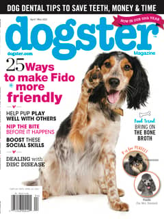 Dogster, April/May 2021
