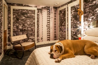 Designer to the stars Kari Whitman's home featuring a very cute pup and Favela wallpaper.