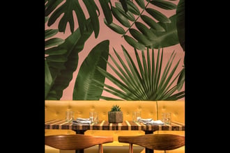 We're digging the taste of the tropics that Big Time Design infused into Miami-based restaurant, CVLTVRA, with our   Wild Thing wallpaper. Photography by: Craig Denis Creative.