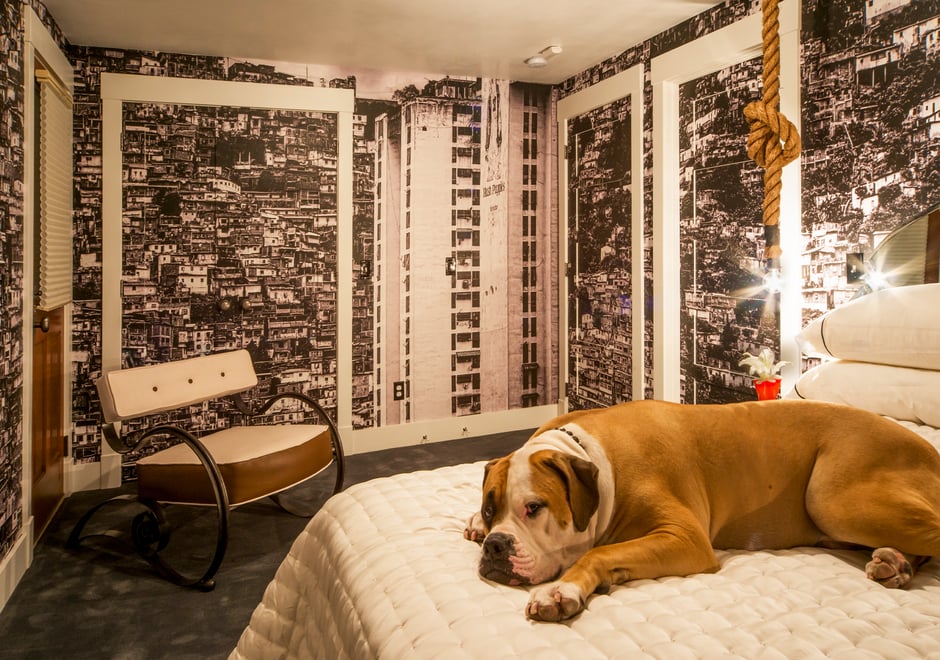 Designer to the stars Kari Whitman's home featuring a very cute pup and Favela wallpaper.