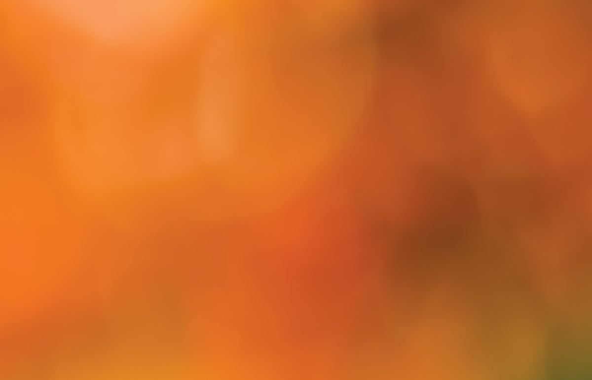 Blossom Blur - Autumn