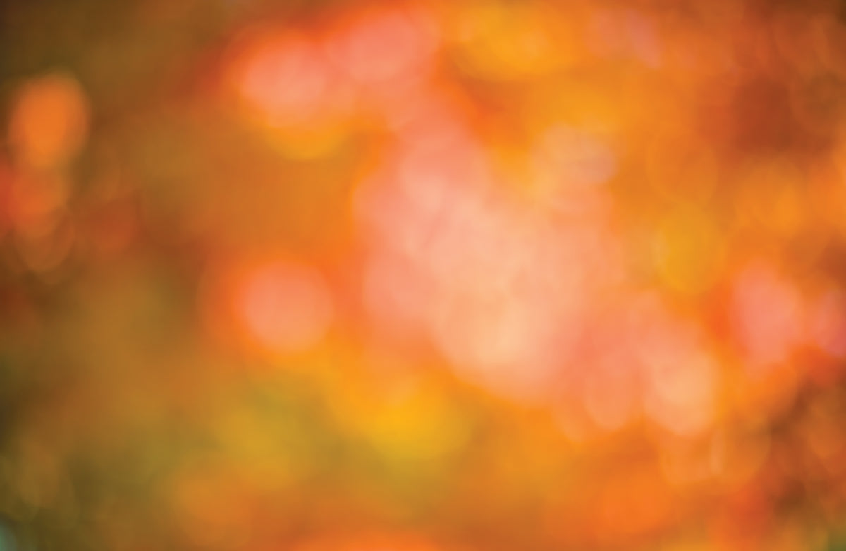 Blossom Blur - Autumn