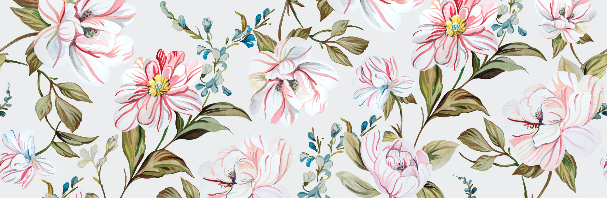 Camellias - Soft Light