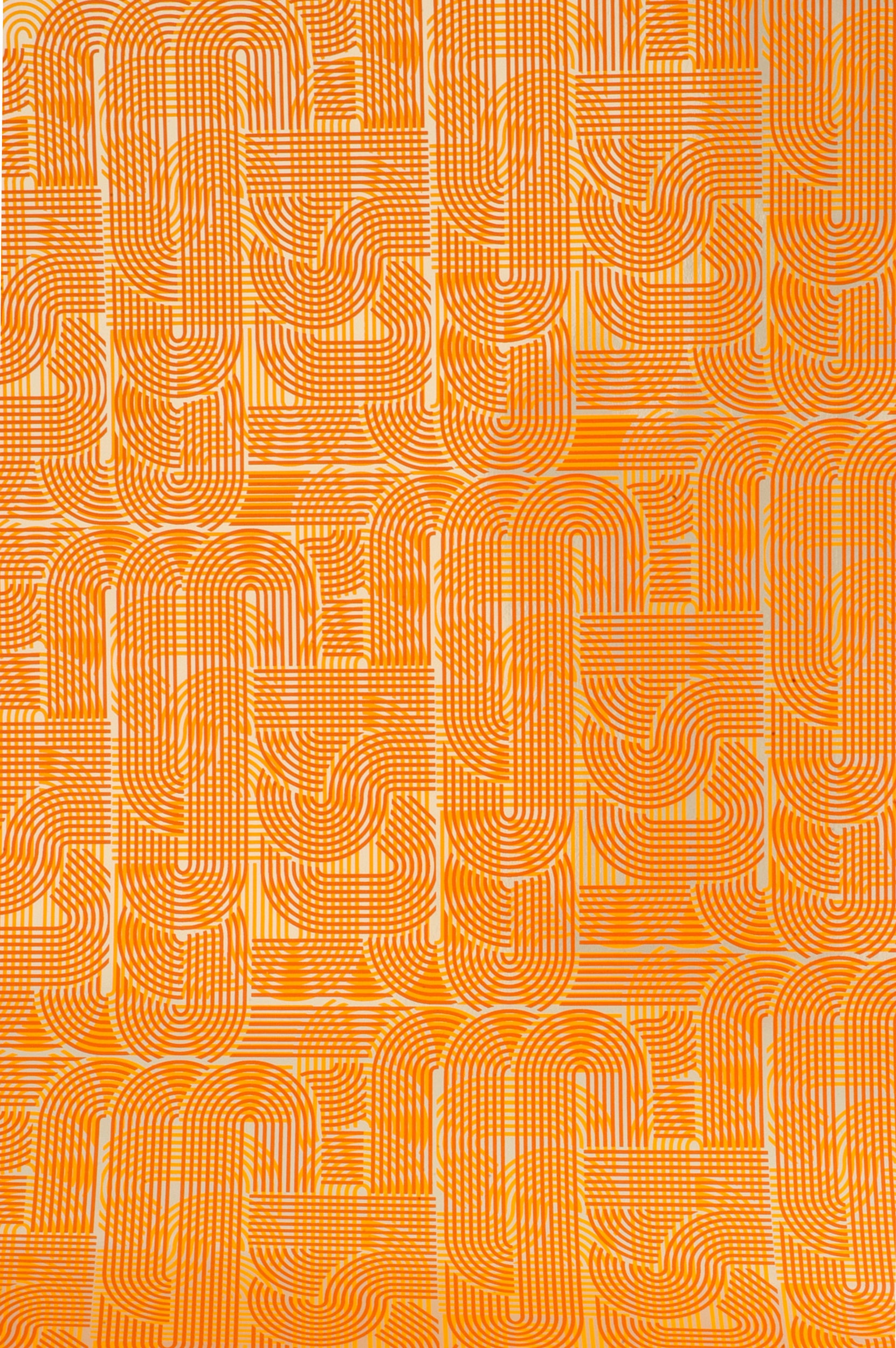 Circuit - Tangerine
