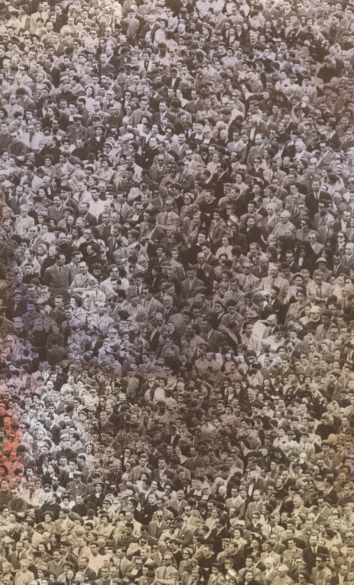 Crowd (Where's Warhol) - Licorice