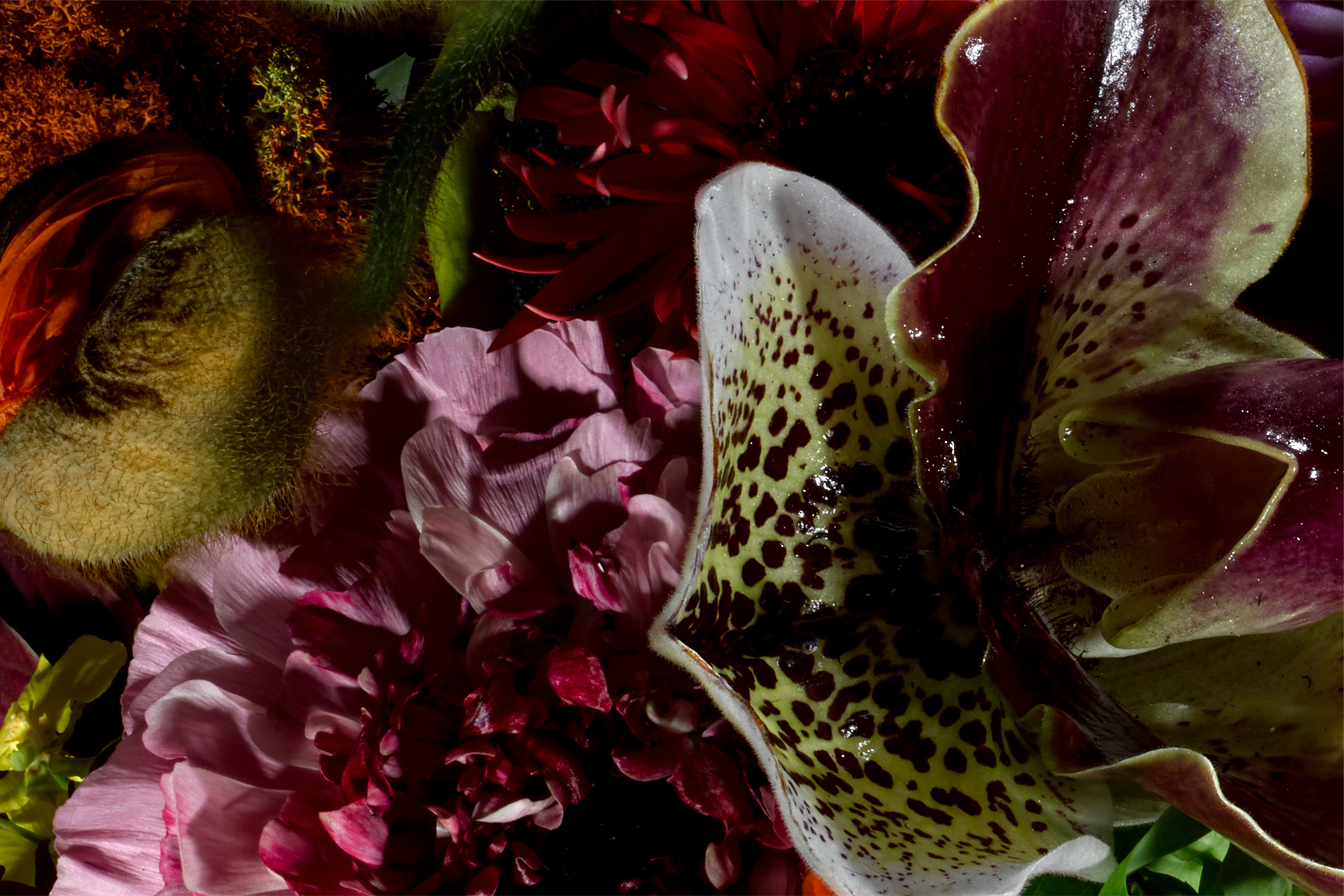 bonjour diary ブラウス10y wallpaper flower Élan Vital - Orchid | Flavor Paper