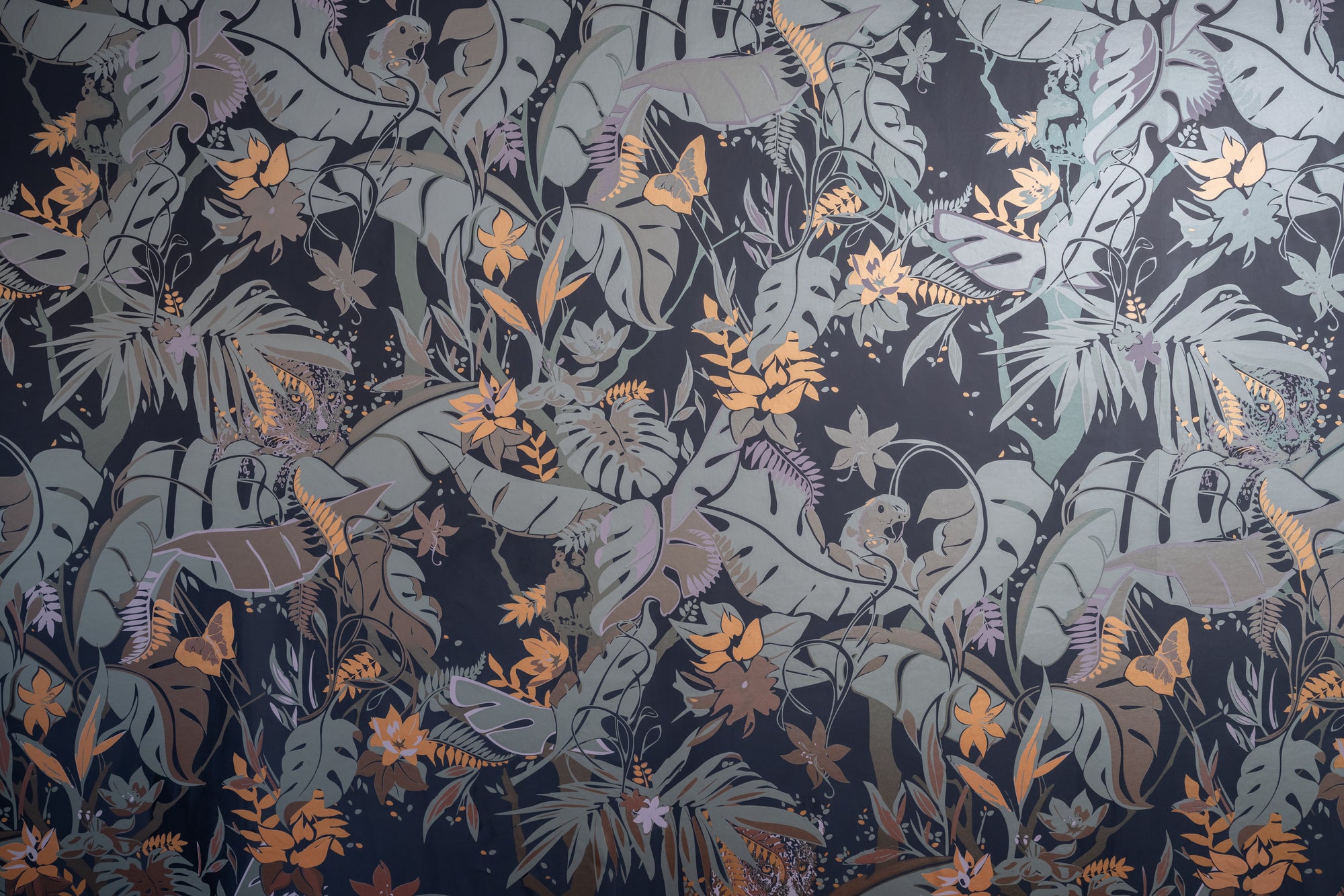 Feroz - Night Vision