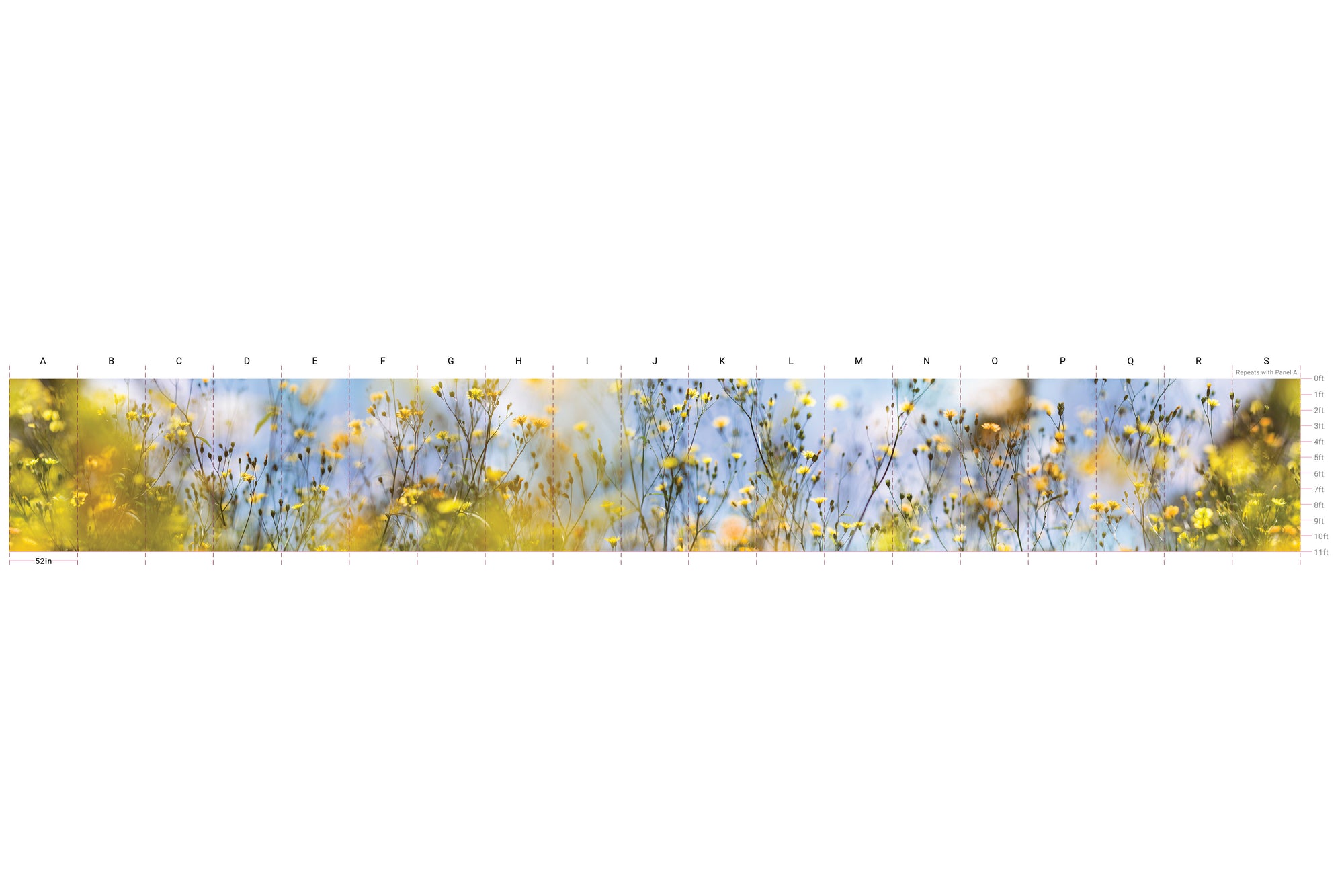 Field of Daydreams - Sunshine