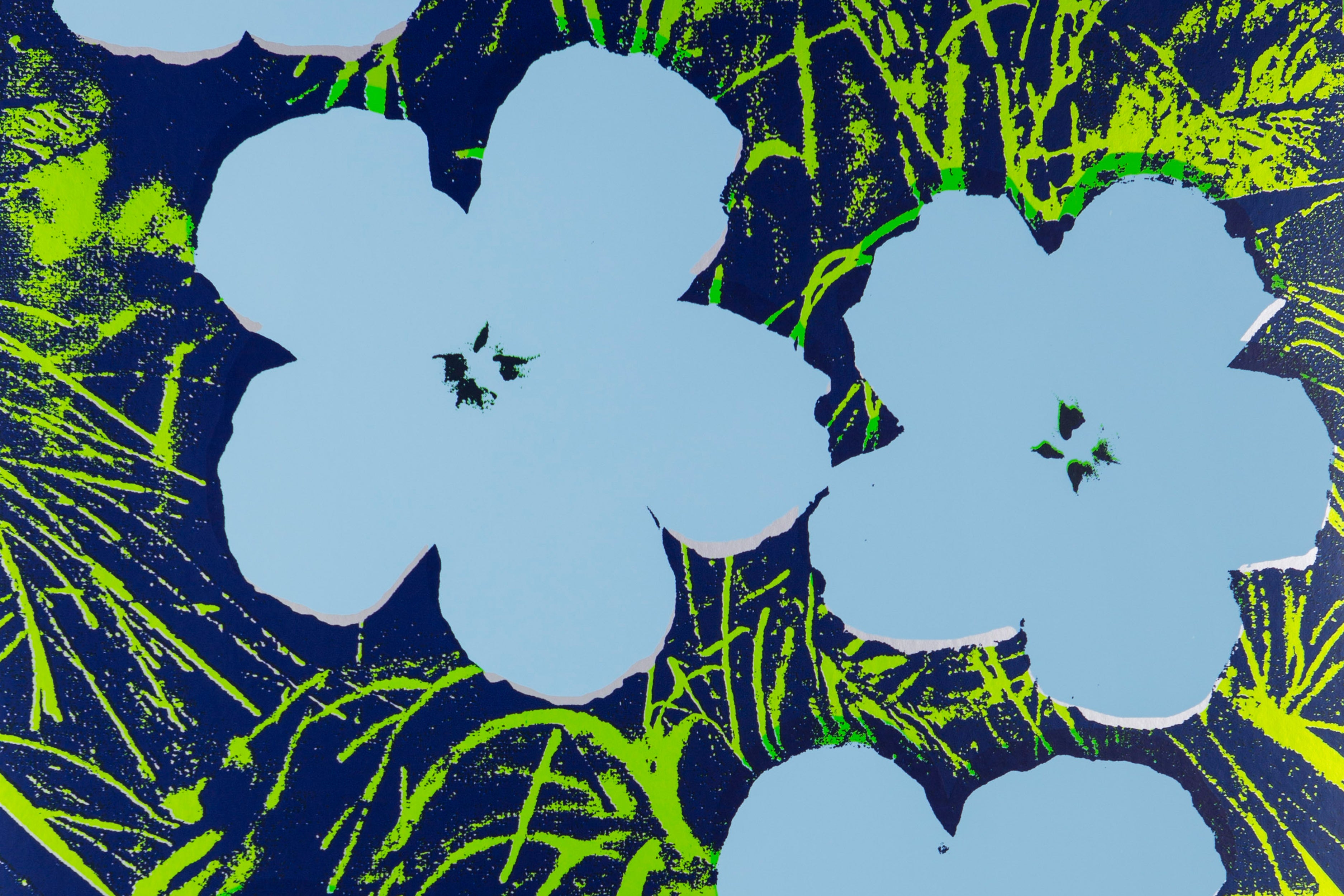 Flowers - Carolina | Flavor Paper