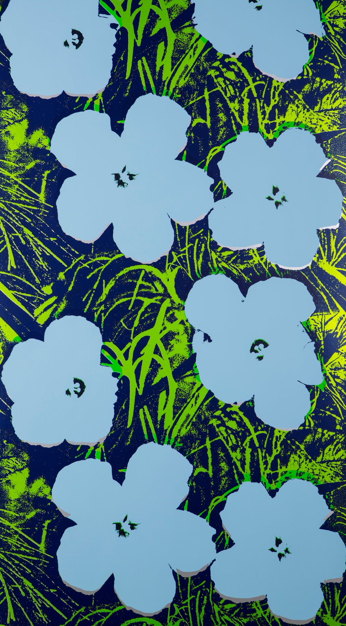 Flowers - Carolina