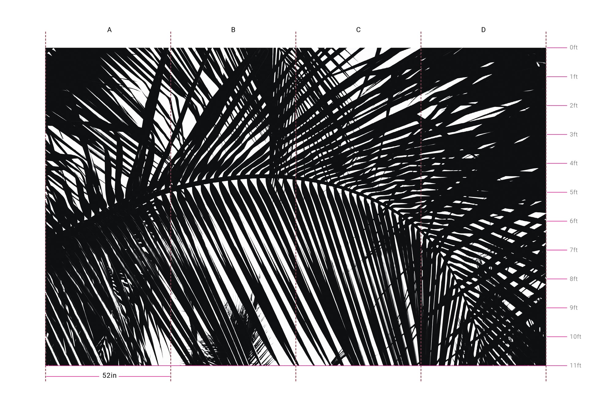 Frond - Chumba Wumba