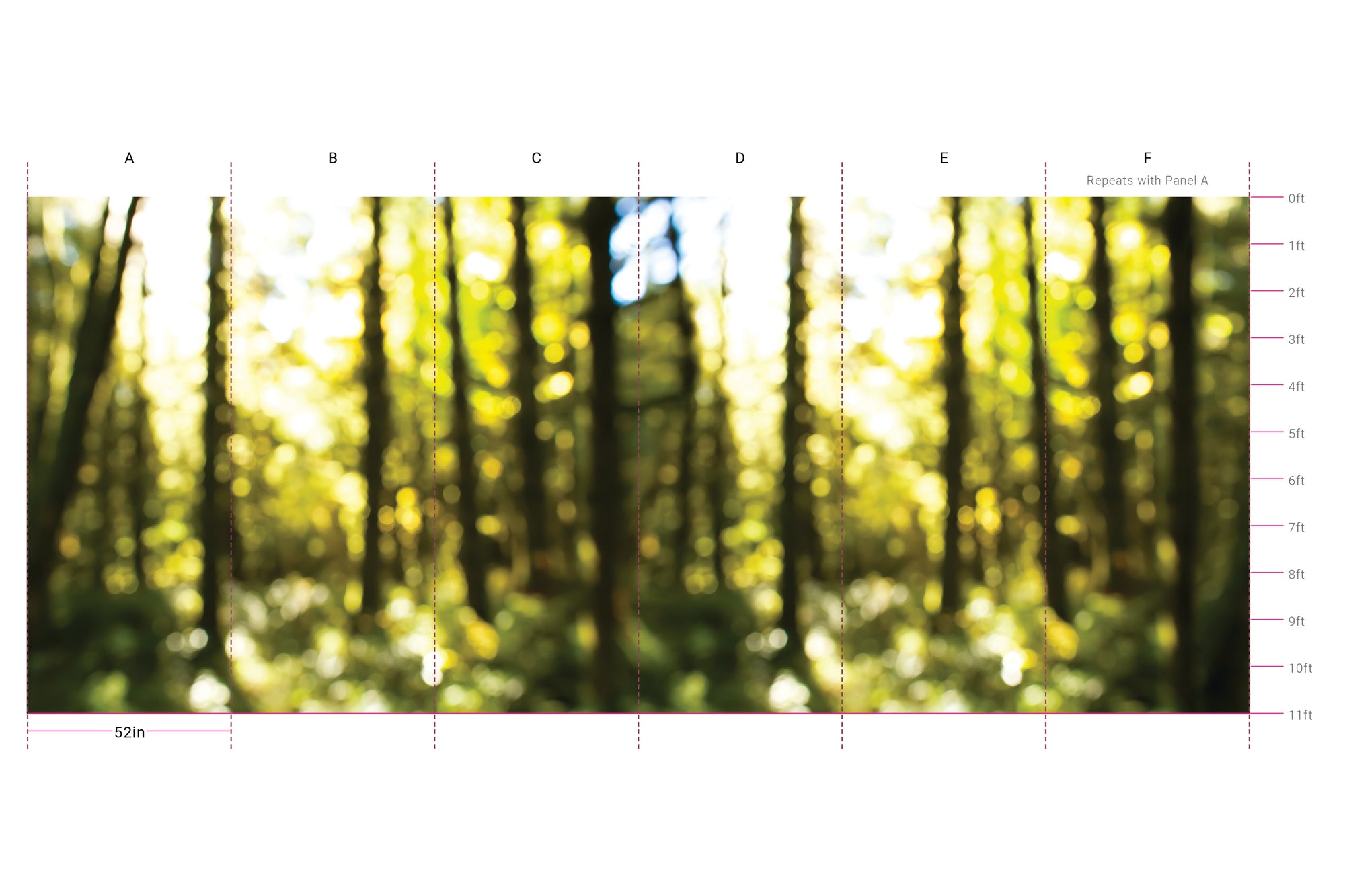 Fuzzy Forest - Ponderosa