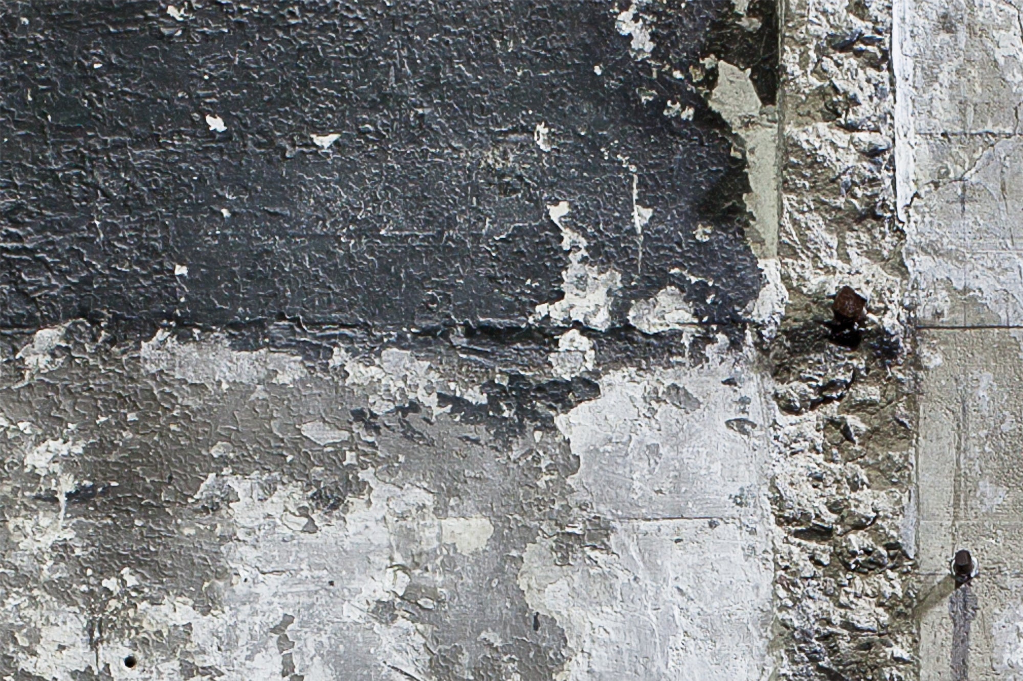 Galapagos Wall - Blackened