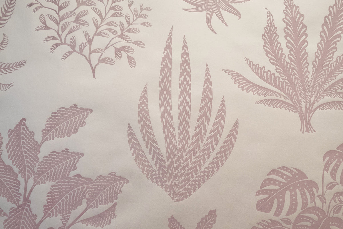 Houseplanted - Afterglow