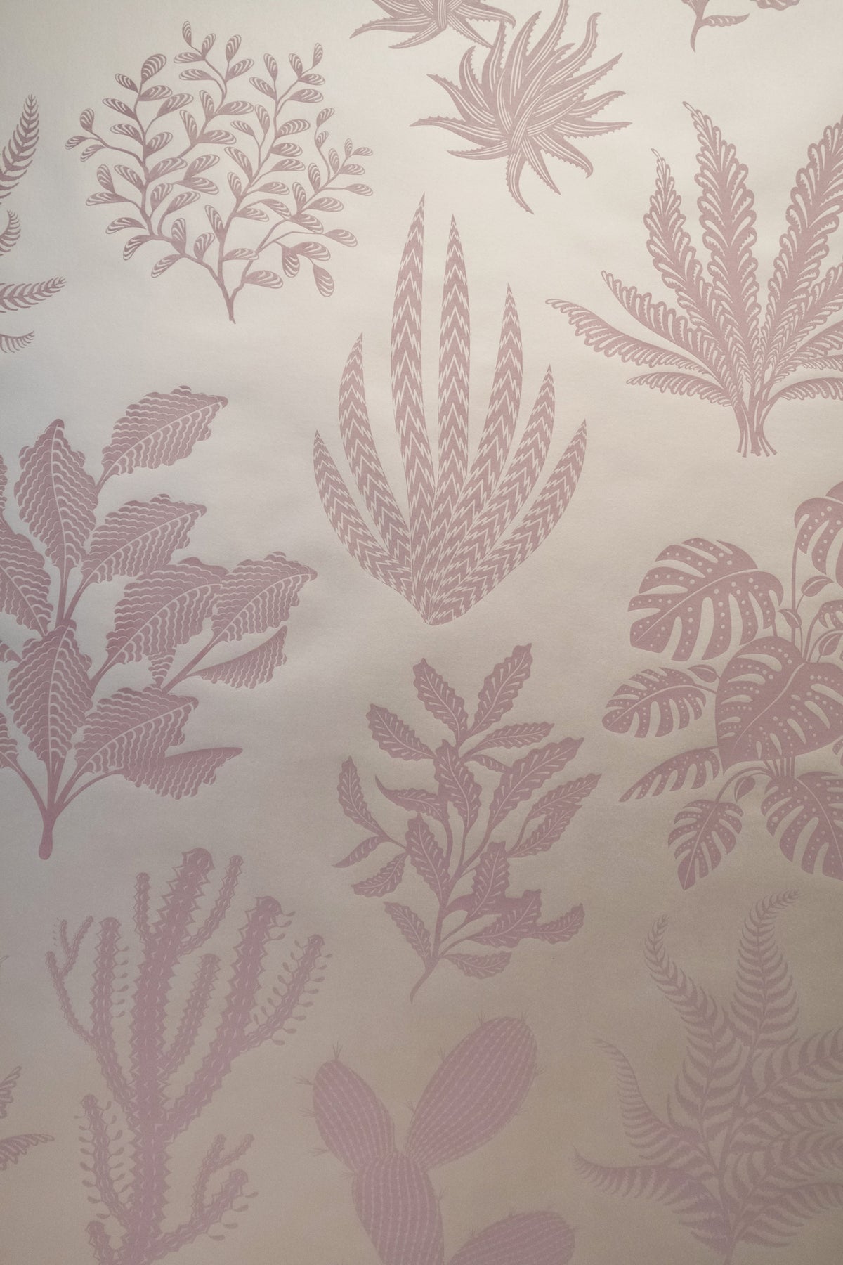 Houseplanted - Afterglow
