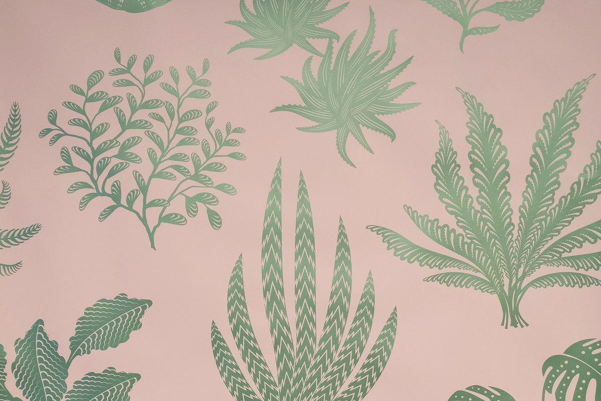 Houseplanted - Cactus