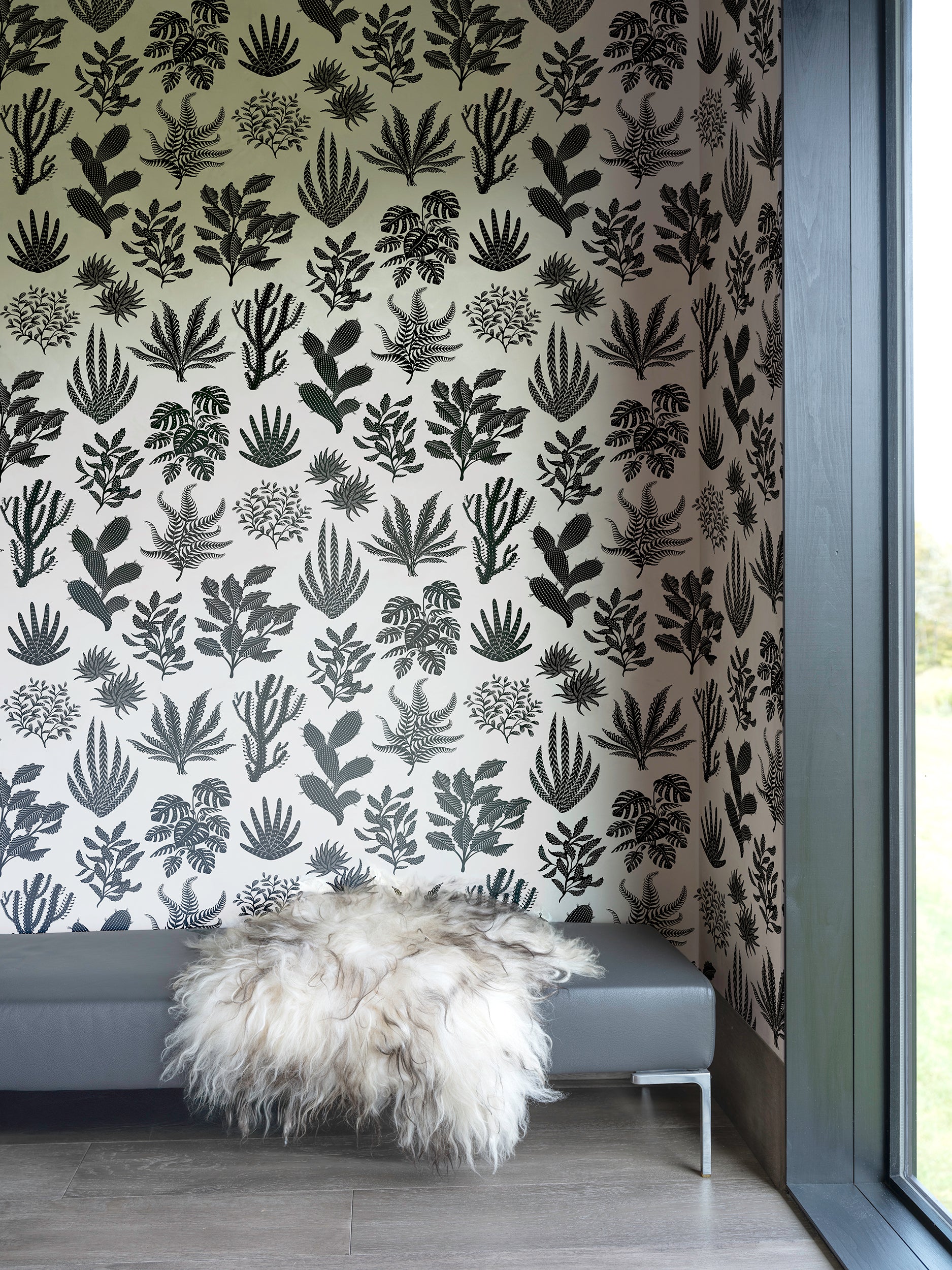 Houseplanted - Licorice