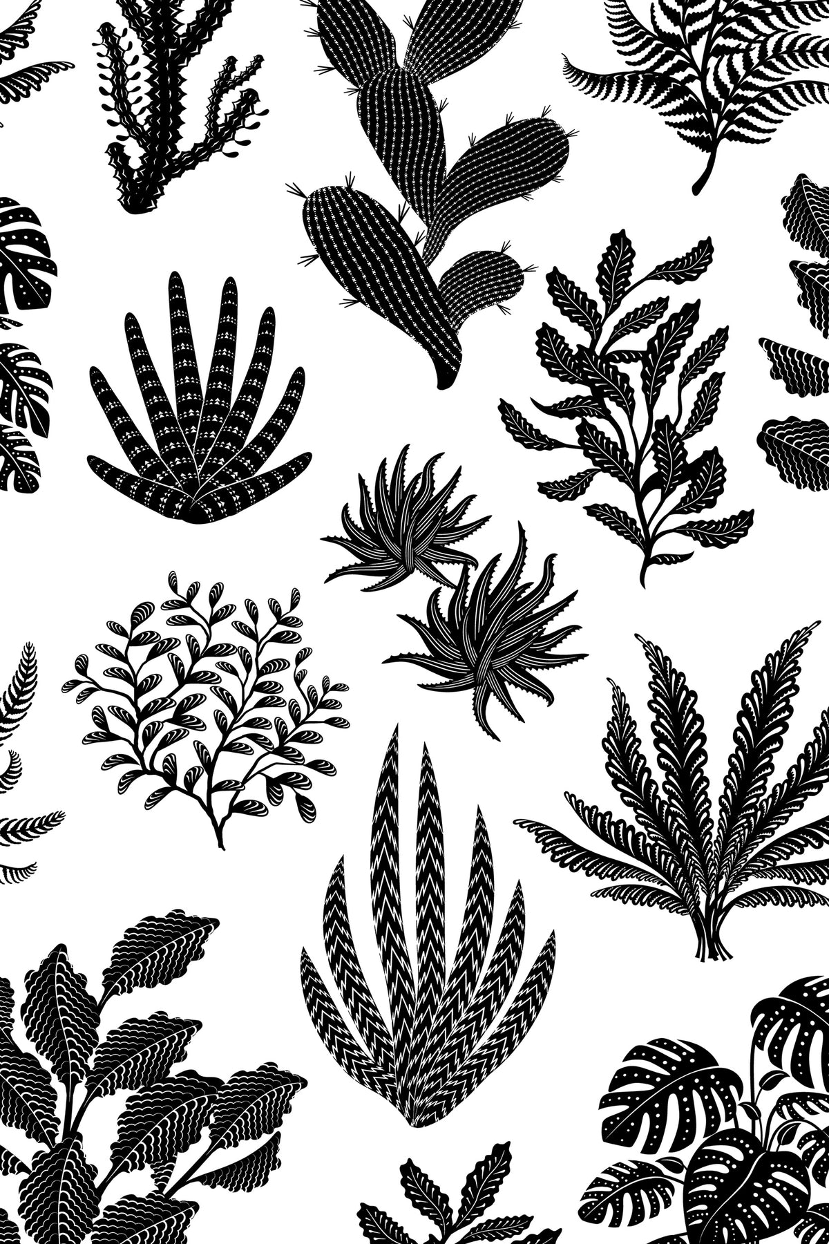 Houseplanted - Licorice