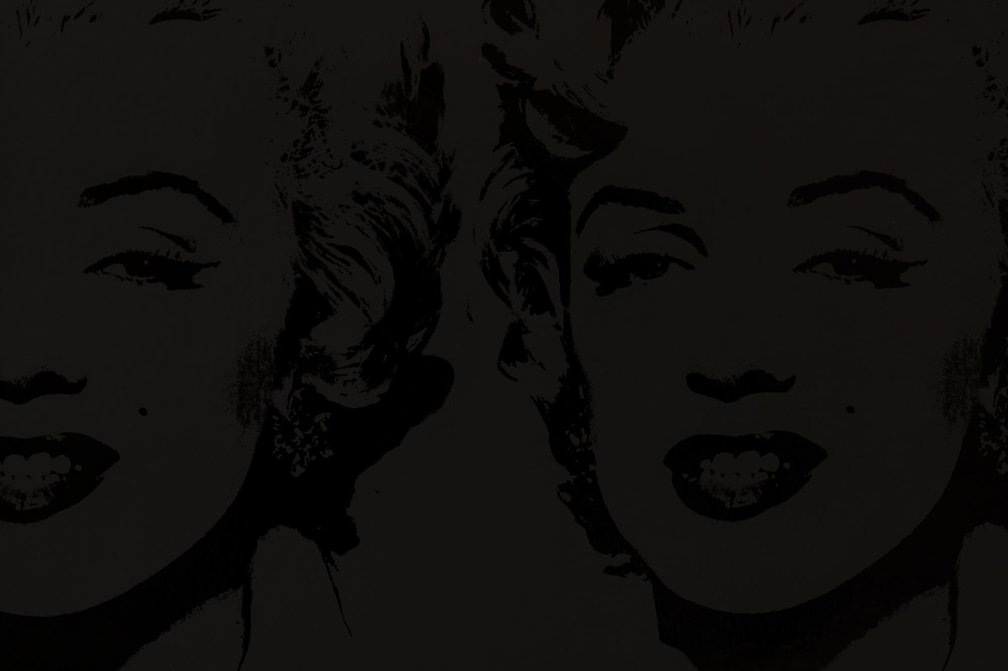 Marilyn Reversal - Carbon