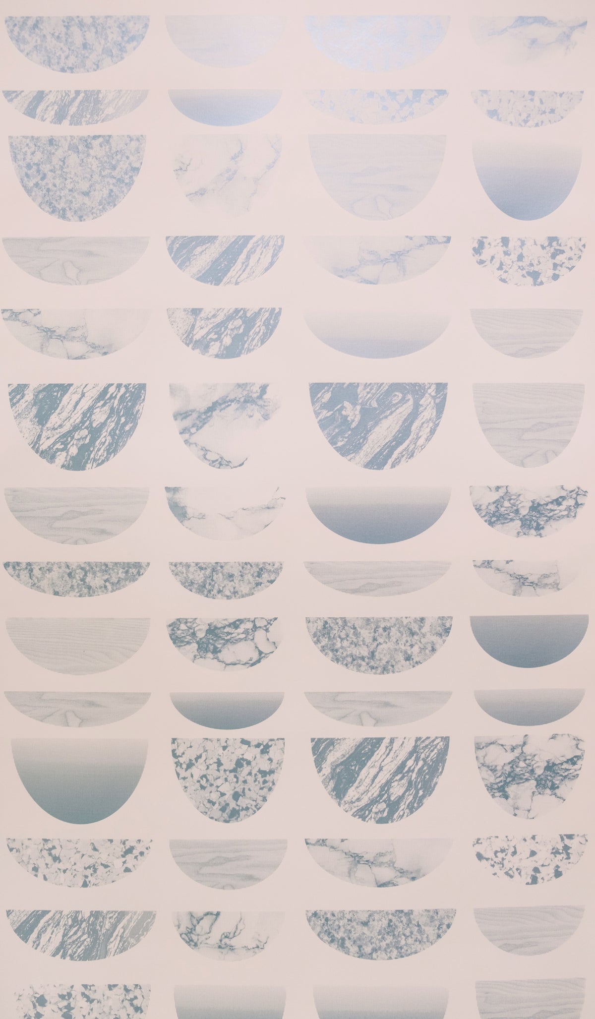 Moonrox - Dolphin
