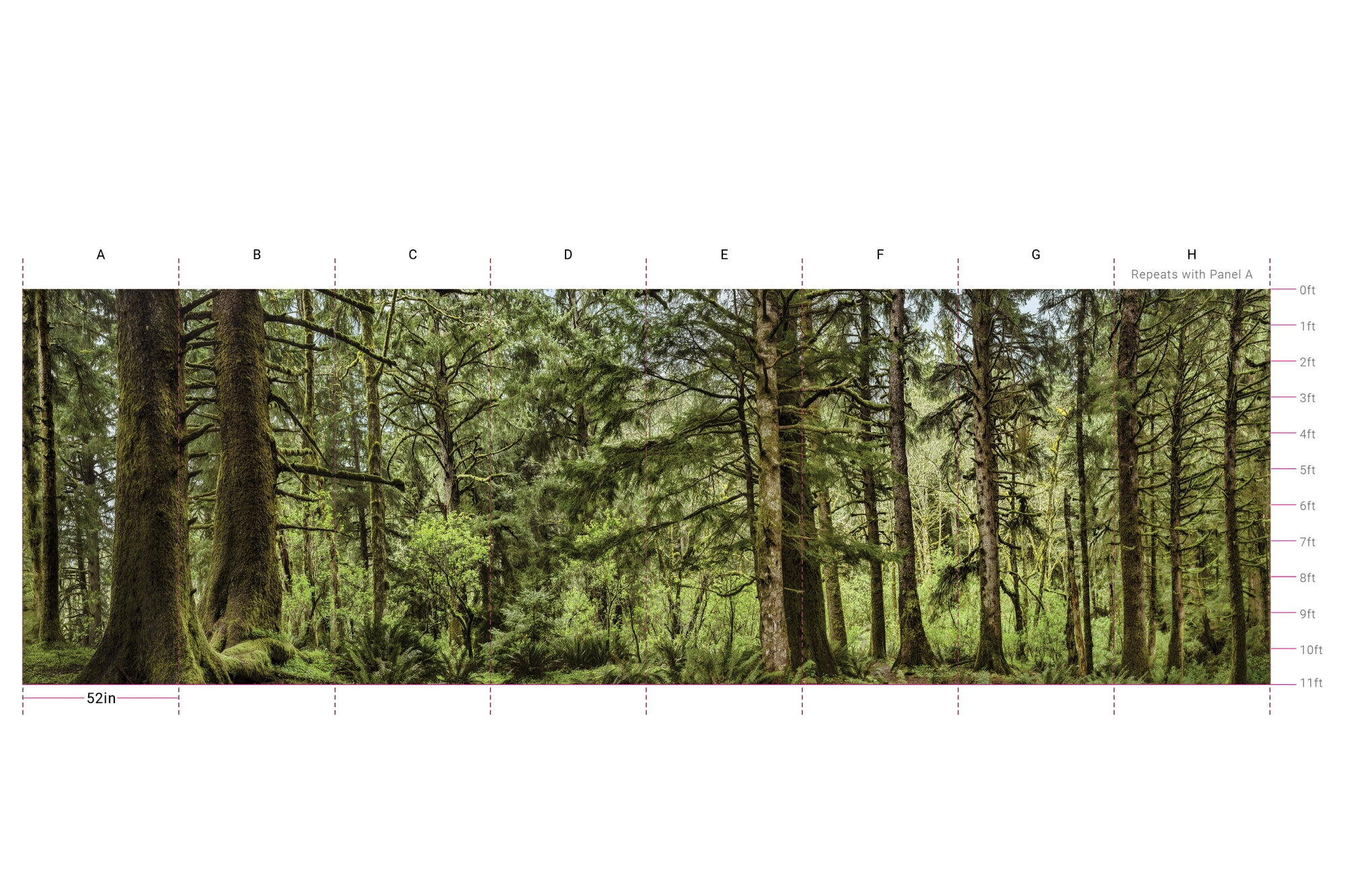 Mount Hood - Mossy