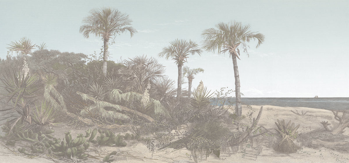 Paradiso - Sea Mist