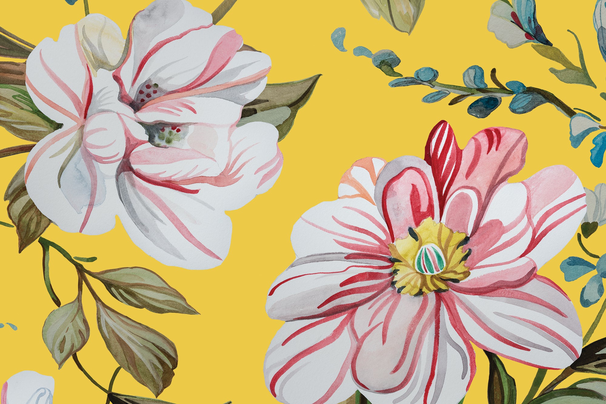Petite Camellias - Butter
