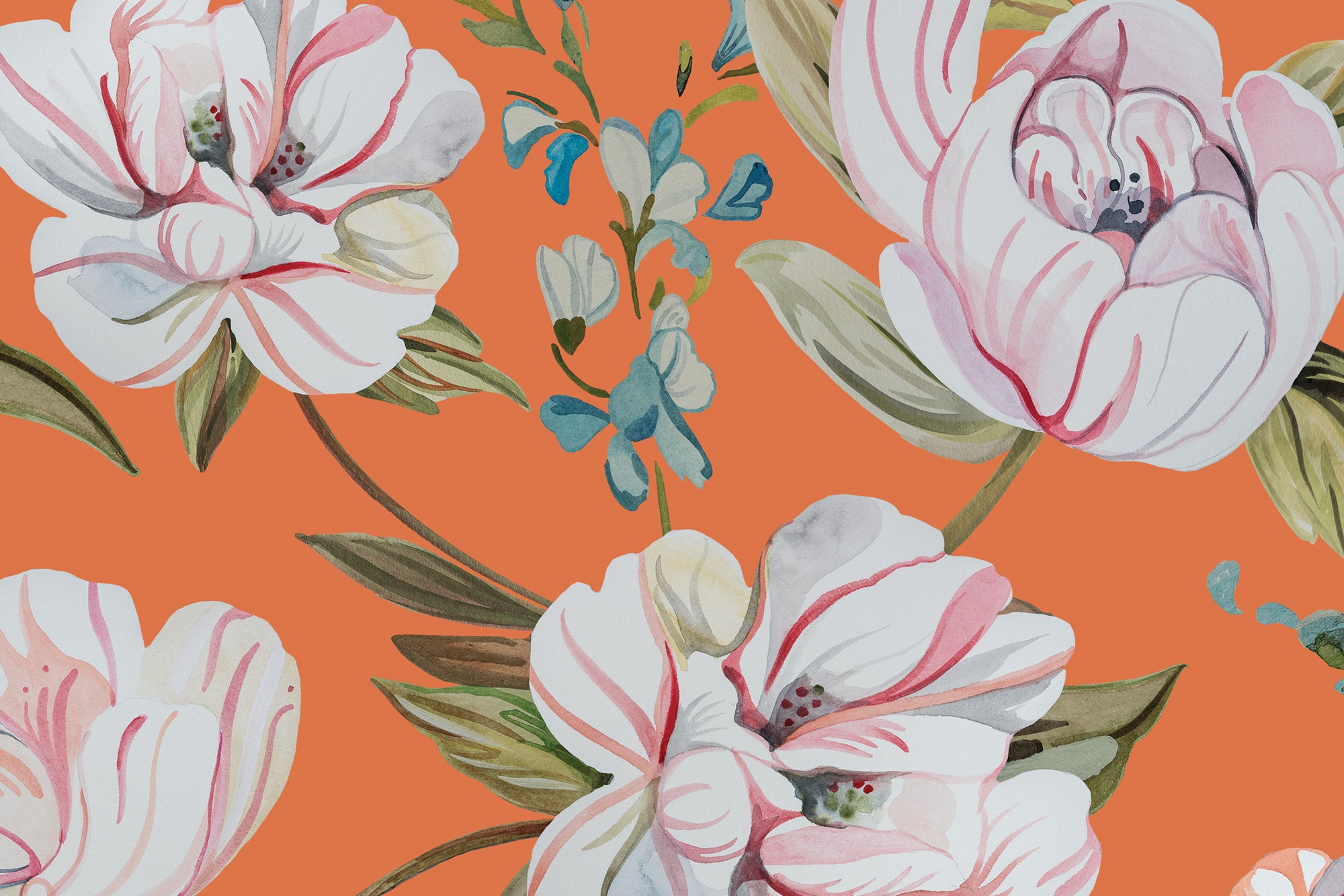 Petite Camellias - Persimmon