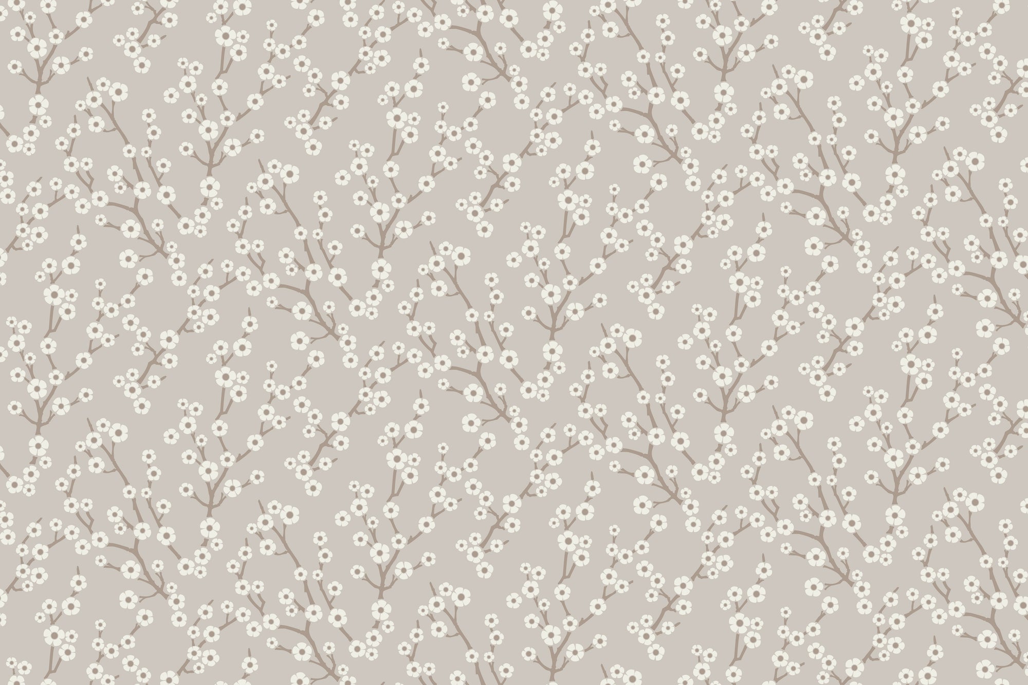 Sakura Mini - Oyster