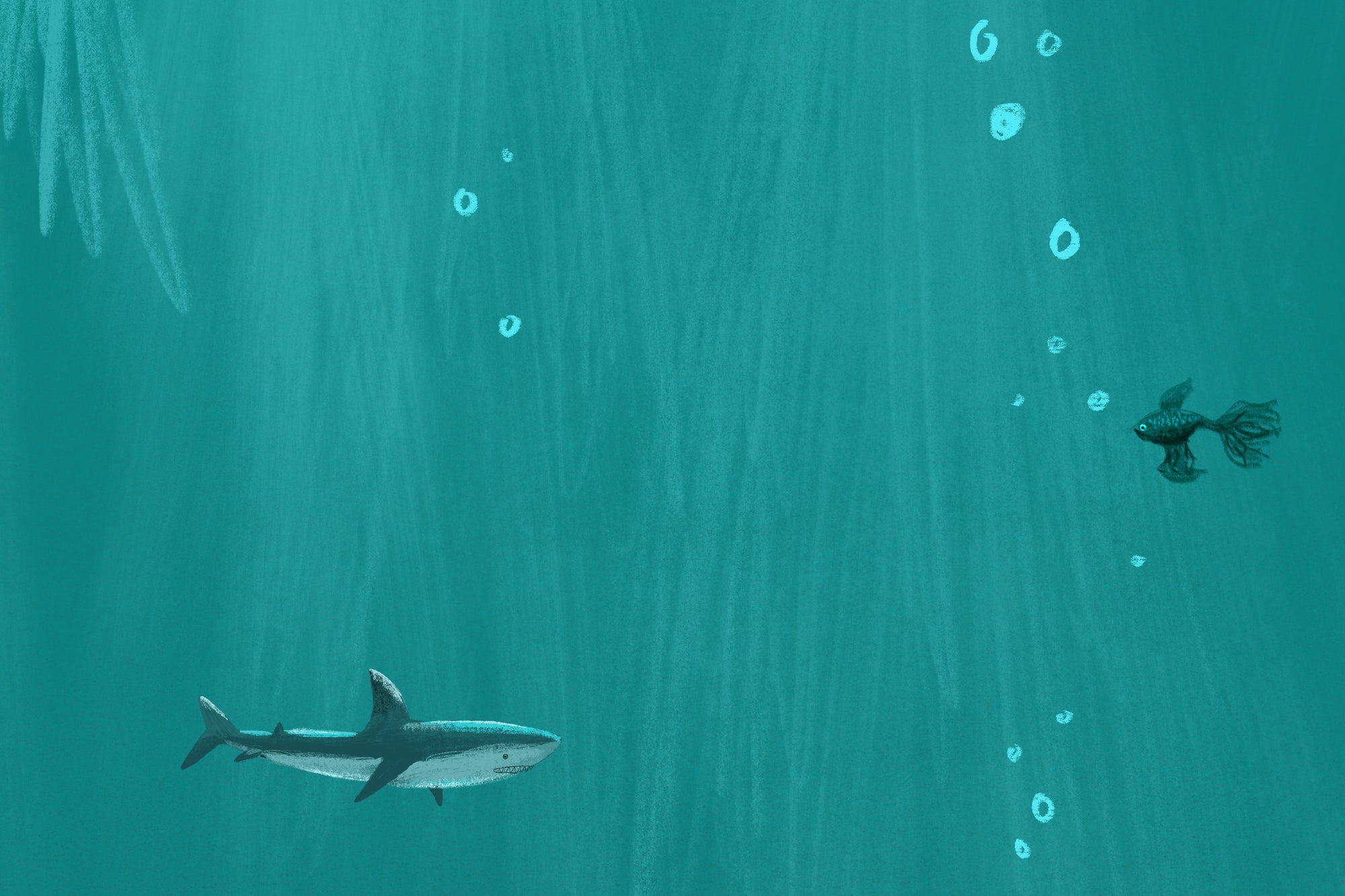 Sea Life - Salty