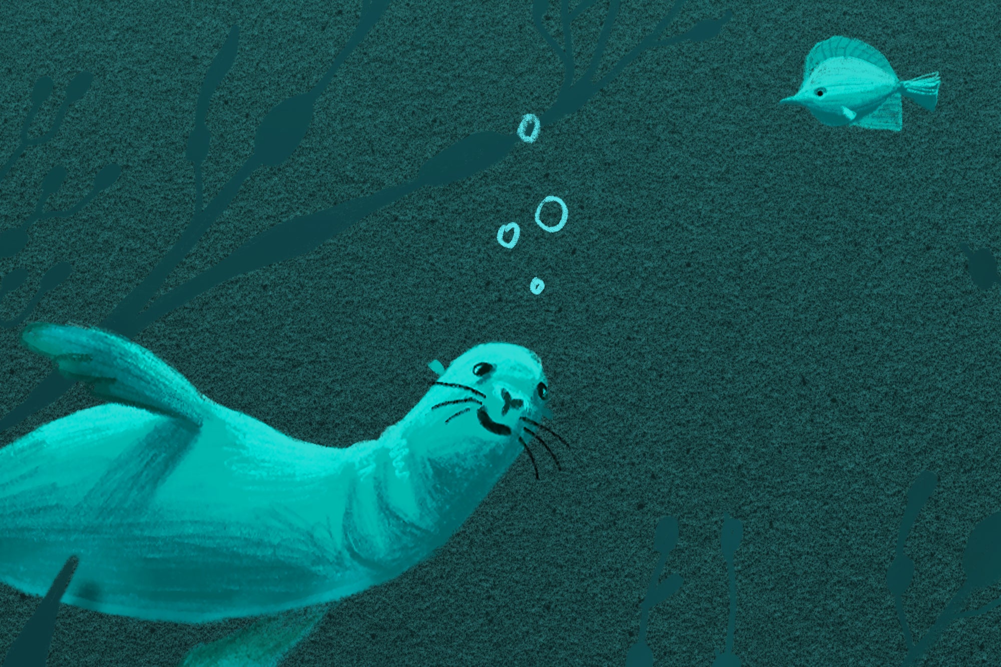 Sea Life - Salty