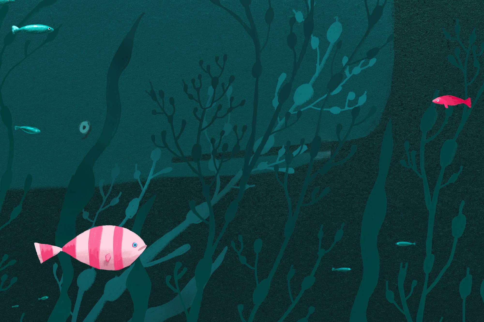 Sea Life - Salty