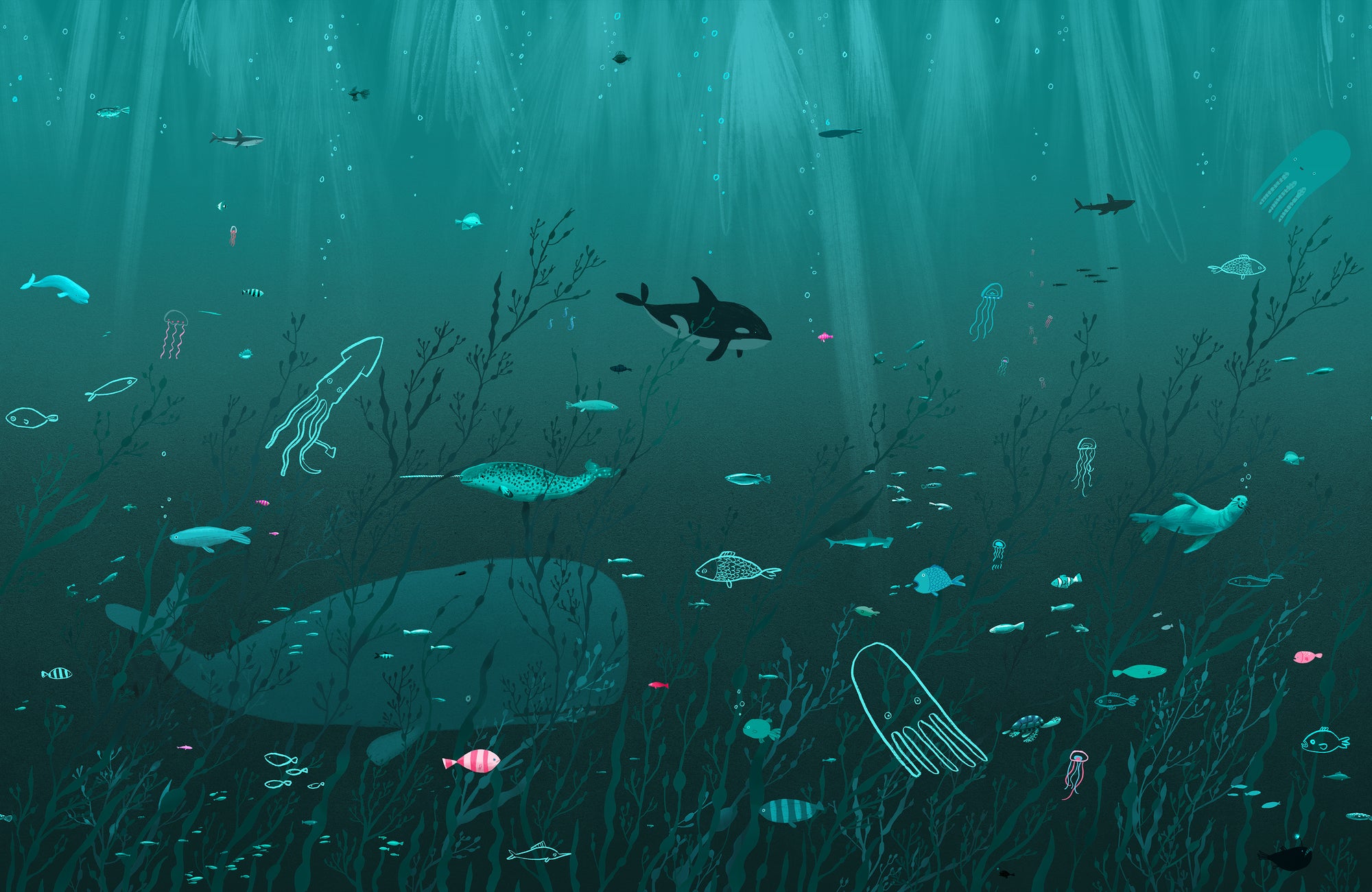 Sea Life - Salty