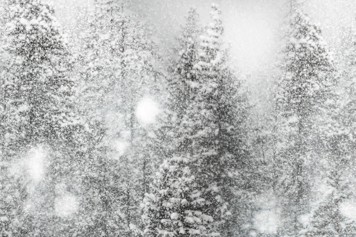 Soft Silence - Snowflake