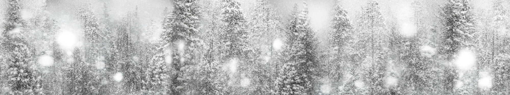Soft Silence - Snowflake