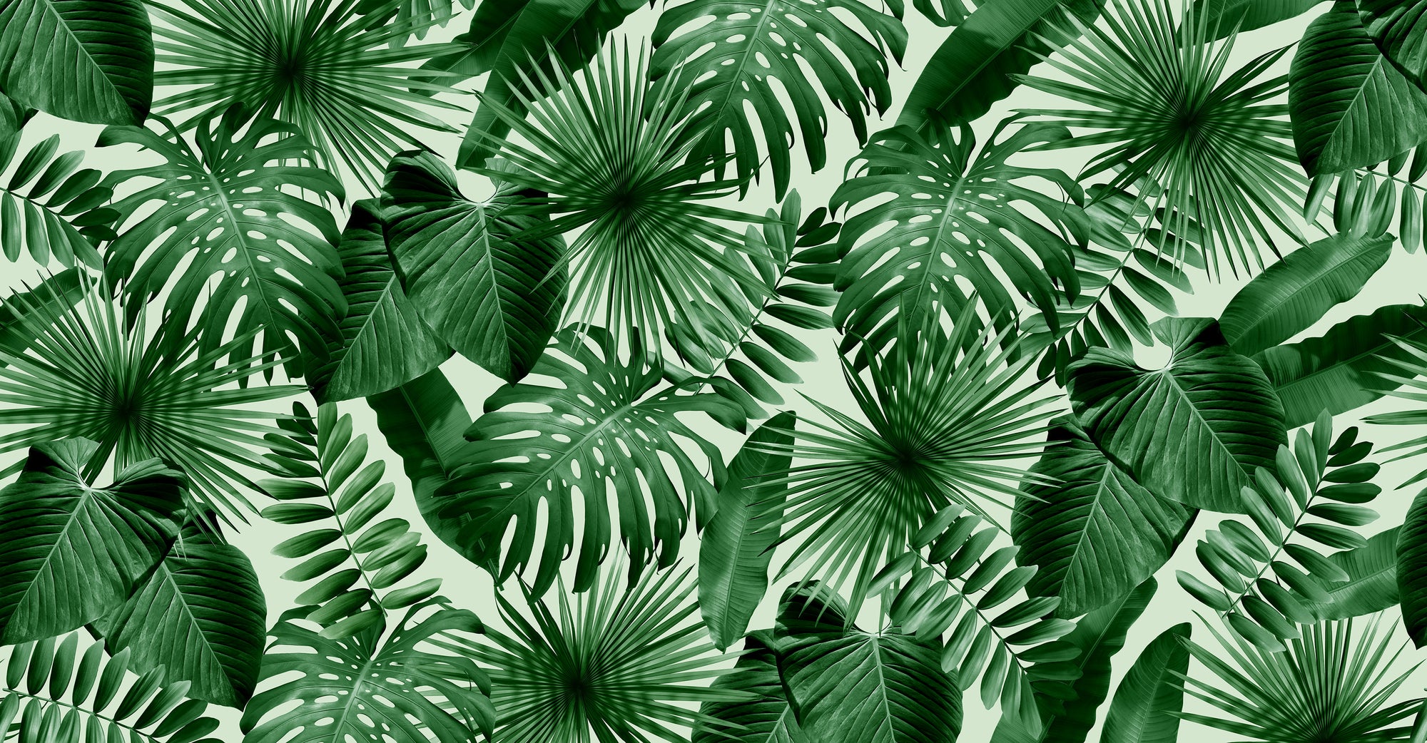Wild Thing - Mint