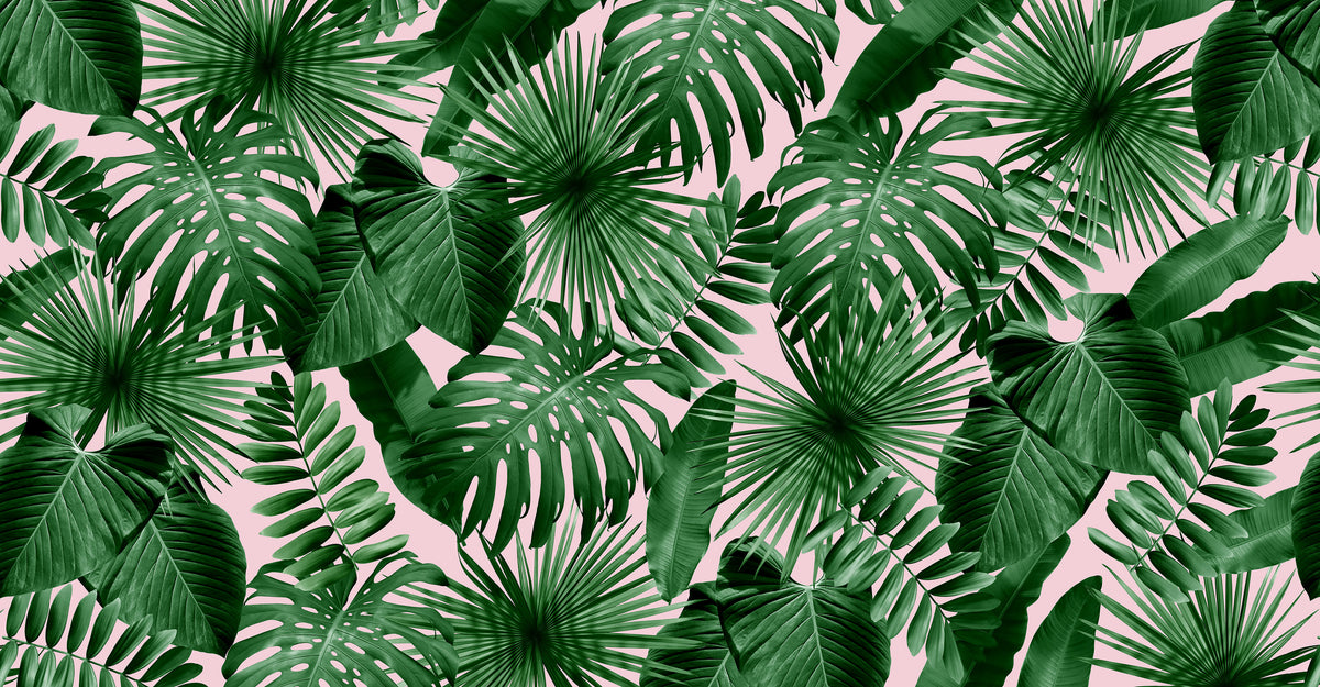 Wild Thing - Pink