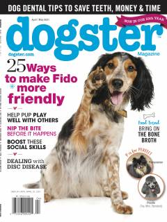 Dogster, April/May 2021