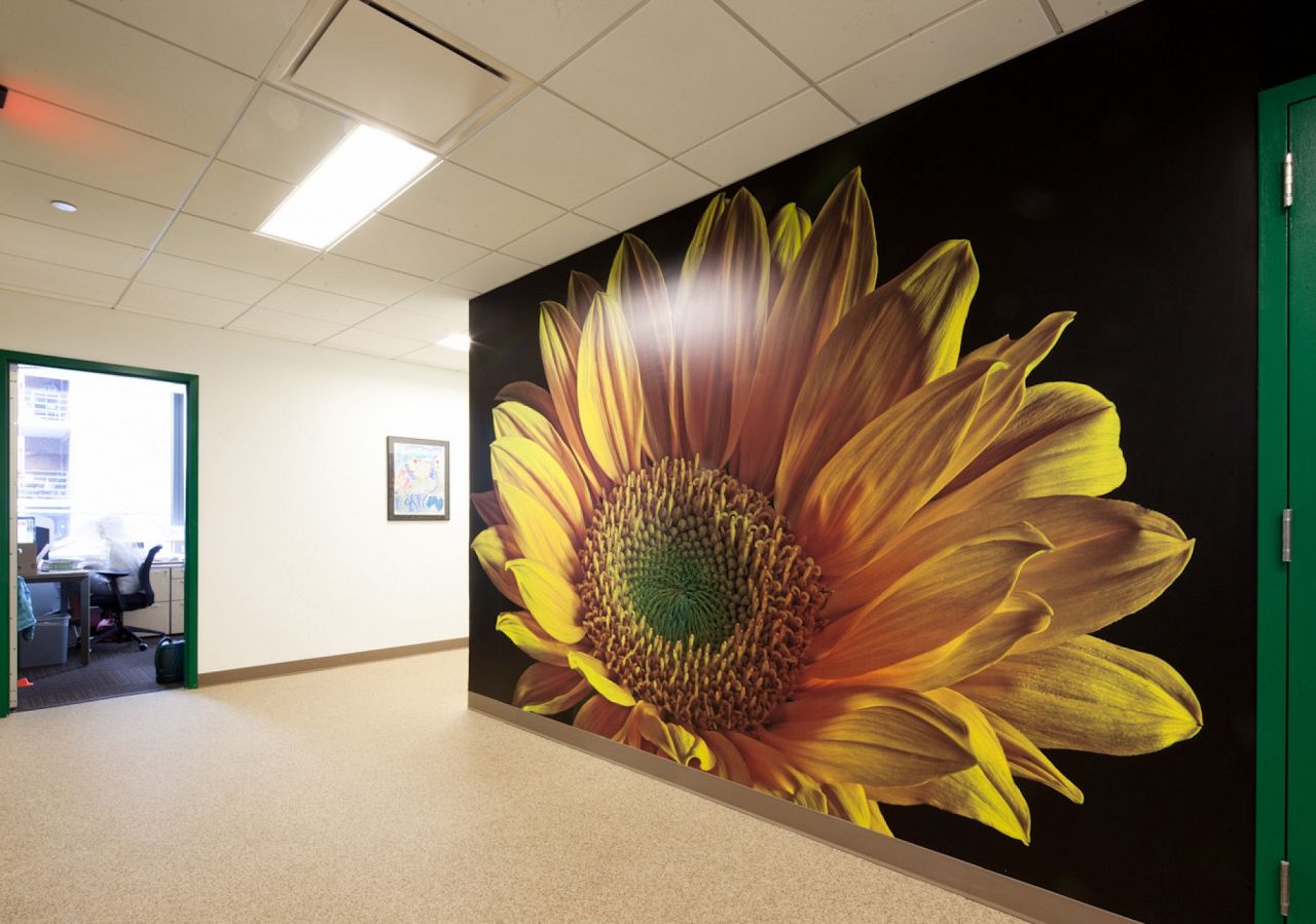 You can feel the freshness of this custom digital sunflower wallpaper