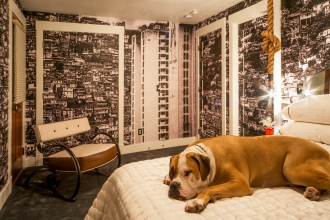 Designer to the stars Kari Whitman's home featuring a very cute pup and Favela wallpaper.