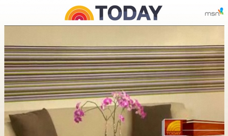Today Show